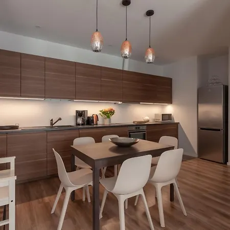 Brand New Flat Heart Of Вильнюс